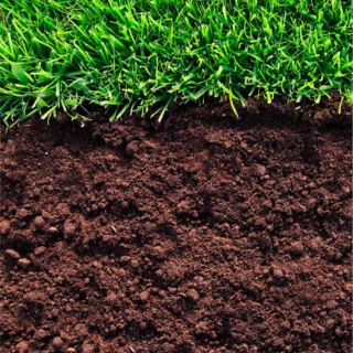 Почвогрунт для газона (самосвалом)