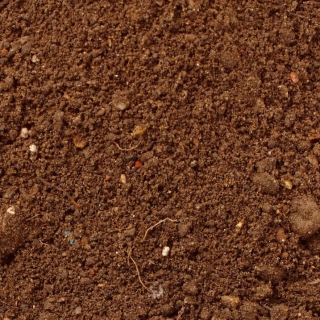 Торф верховой (самосвалом)