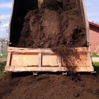 Торф низинный (самосвалом)